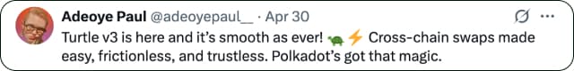 Turtle widget testimonials 1